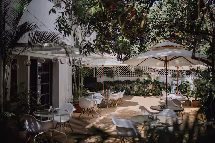 Residency Road is the location of Green Theory