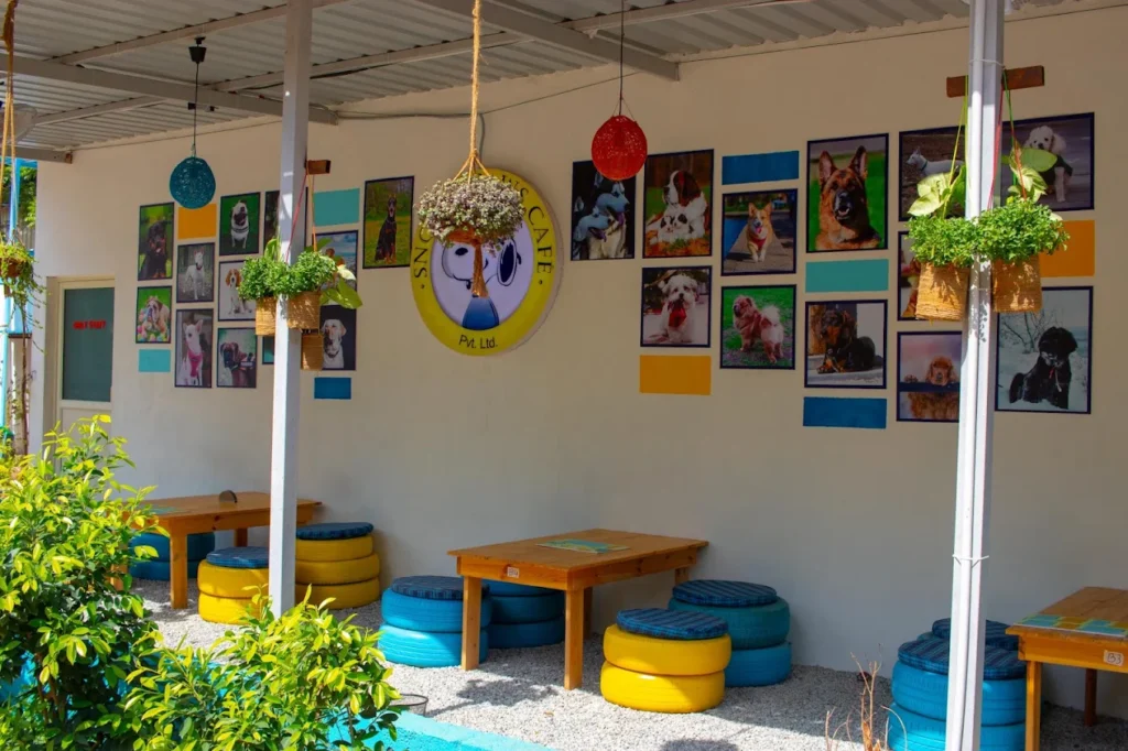 Snoopy Paws Cafe Address